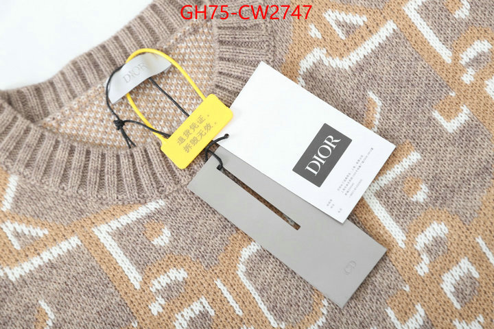 Clothing-Dior,what is a 1:1 replica , ID: CW2747,$: 75USD