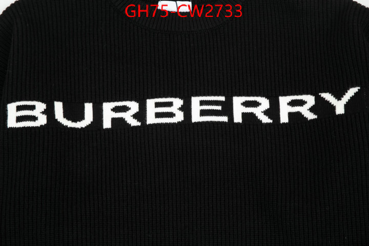 Clothing-Burberry,where can i buy , ID: CW2733,$: 75USD