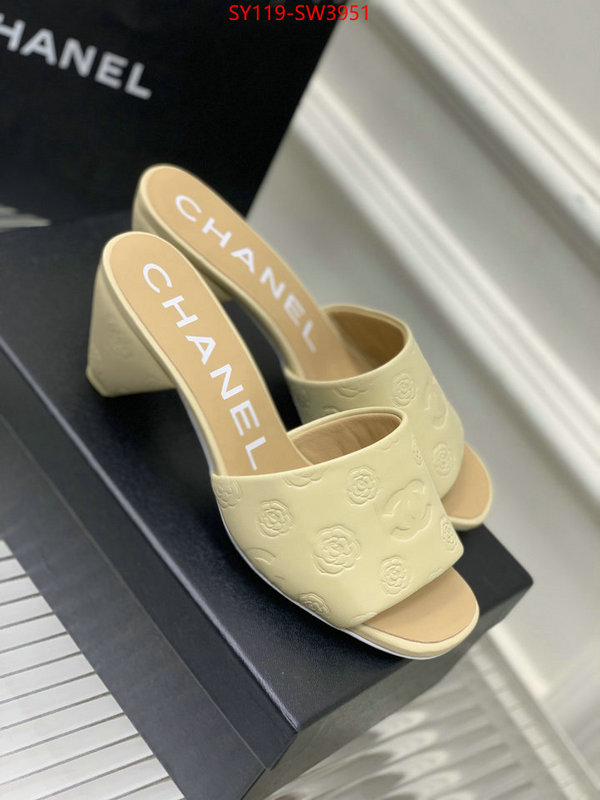 Women Shoes-Chanel,best site for replica , ID: SW3951,$: 119USD