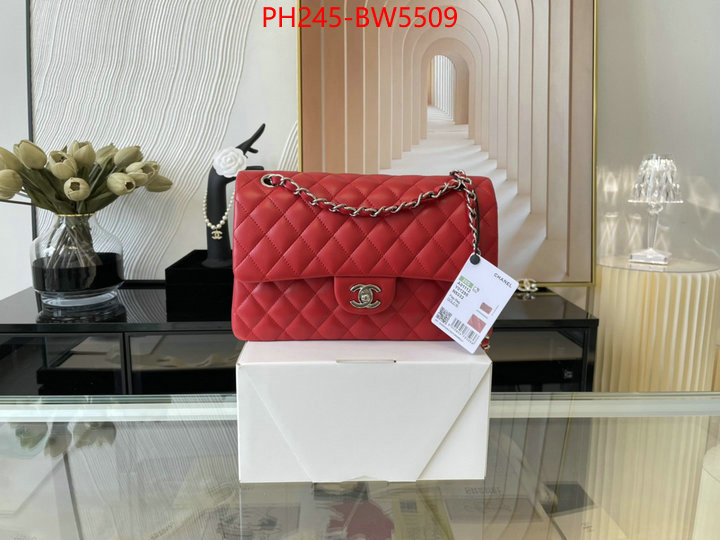 Chanel Bags(TOP)-Diagonal-,ID: BW5509,$: 245USD