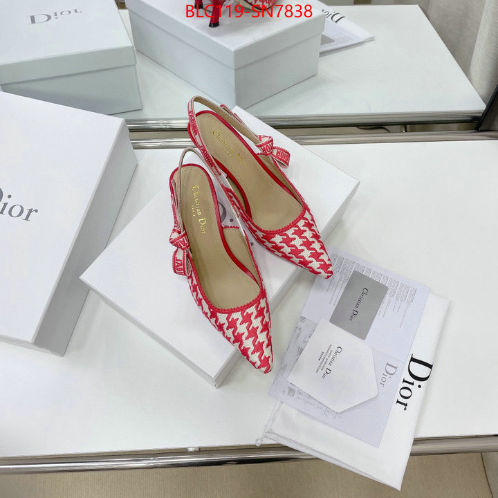 Women Shoes-Dior,can i buy replica , ID: SN7838,$: 119USD