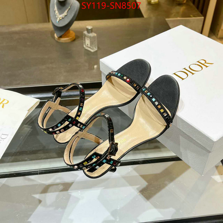 Women Shoes-Dior,new 2023 , ID: SN8507,$: 119USD