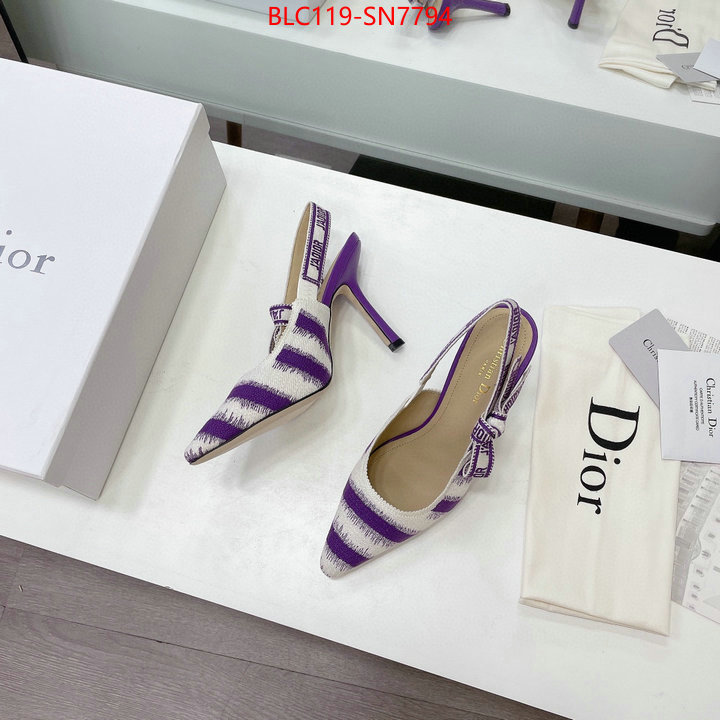 Women Shoes-Dior,online store , ID: SN7794,$: 119USD