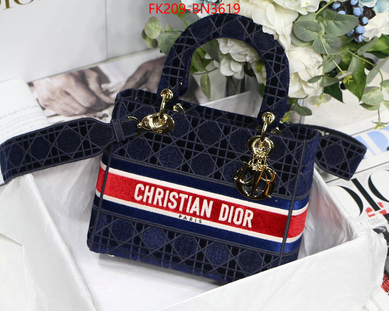 Dior Bags(TOP)-Lady-,ID: BN3619,$: 209USD