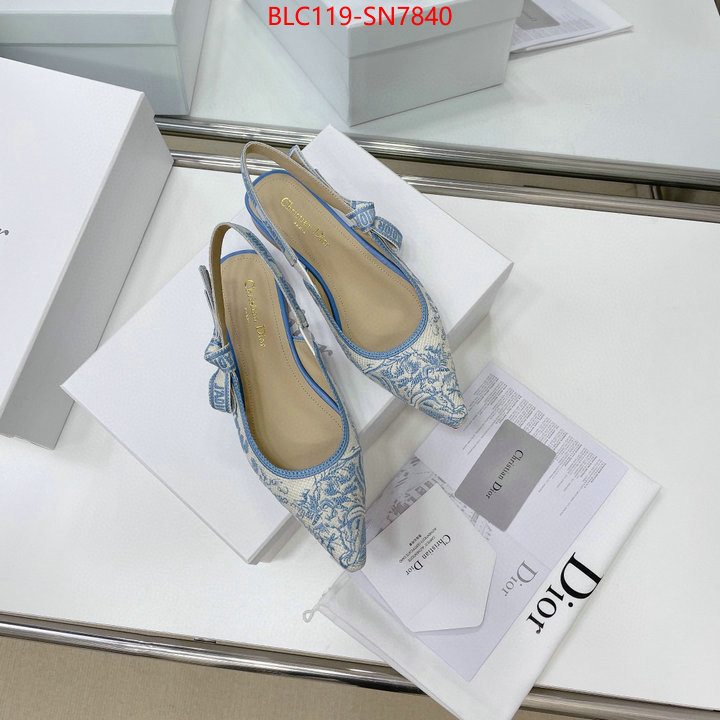 Women Shoes-Dior,replica designer , ID: SN7840,$: 119USD