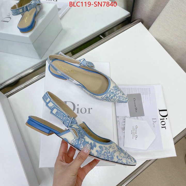 Women Shoes-Dior,replica designer , ID: SN7840,$: 119USD