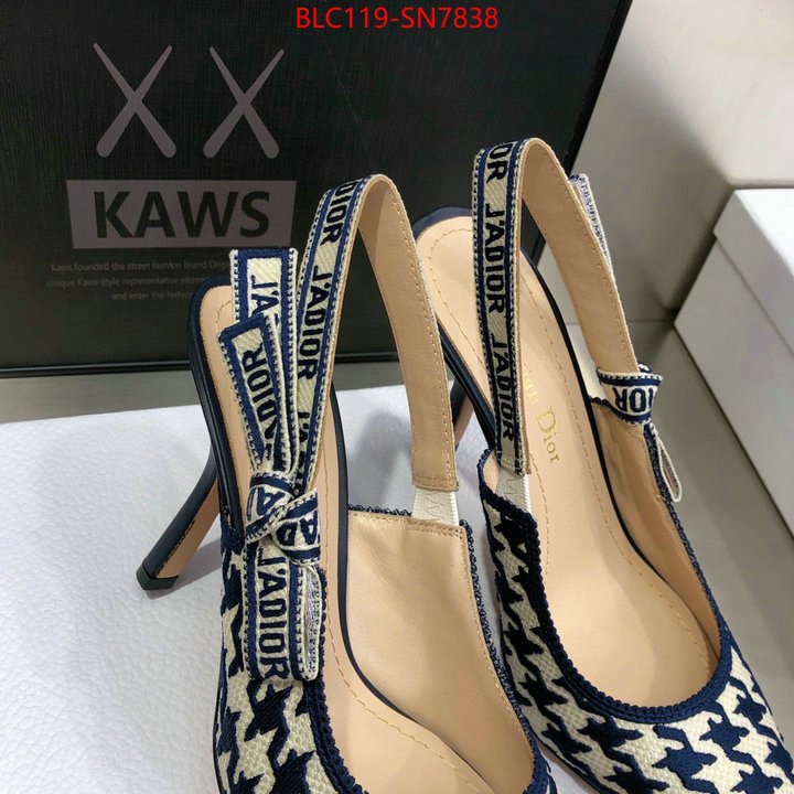 Women Shoes-Dior,can i buy replica , ID: SN7838,$: 119USD