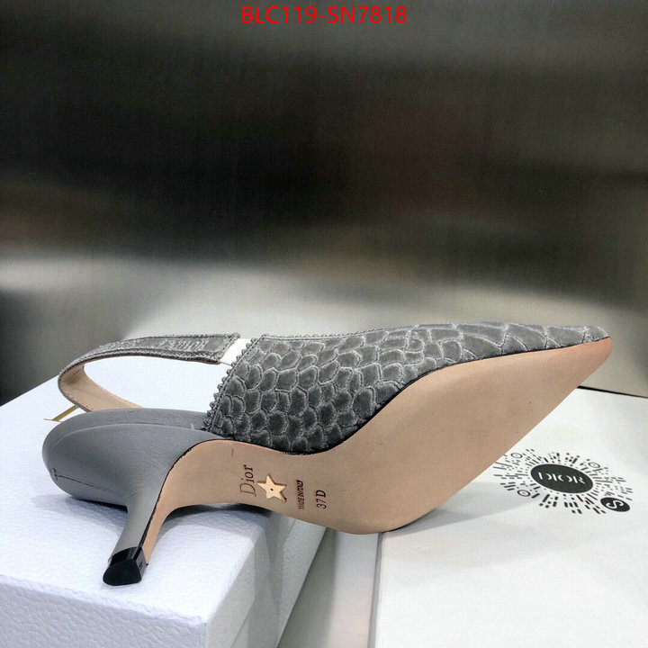 Women Shoes-Dior,aaaaa+ quality replica , ID: SN7818,$: 119USD