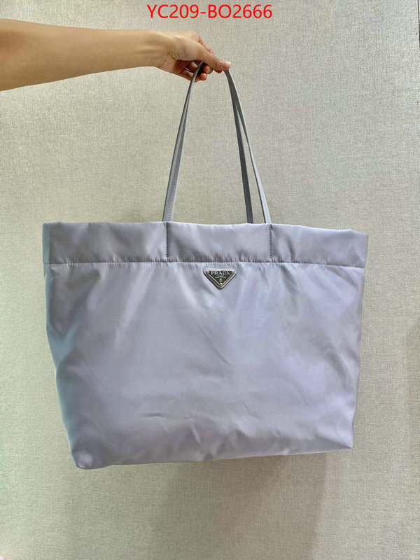 Prada Bags(TOP)-Handbag-,ID: BO2666,$: 209USD