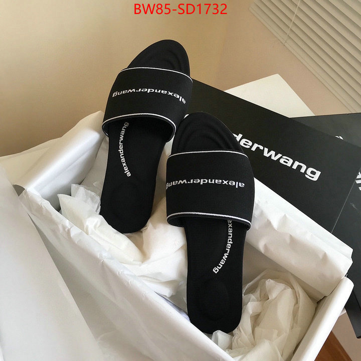 Women Shoes-Alexander Wang,mirror copy luxury , ID: SD1732,$: 85USD