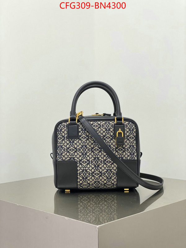 Loewe Bags(TOP)-Handbag-,practical and versatile replica designer ,ID: BN4300,$: 309USD