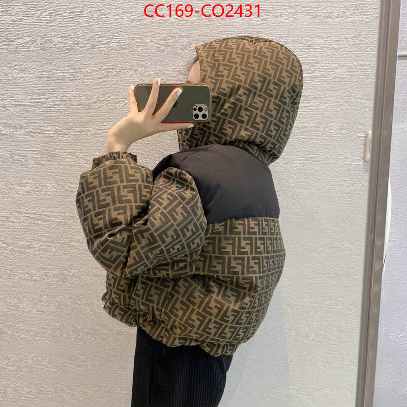 Down jacket Women-Fendi,where can i buy the best quality , ID: CO2431,$: 169USD