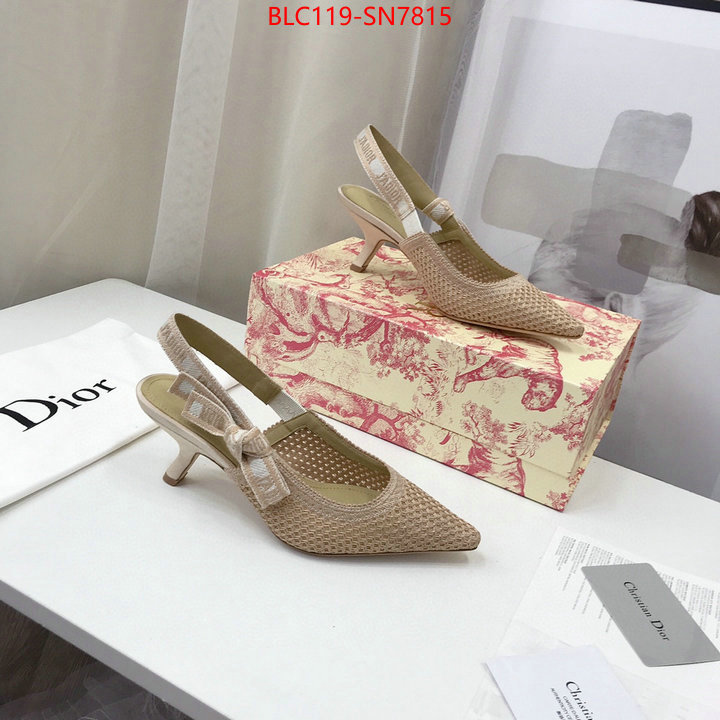 Women Shoes-Dior,shop cheap high quality 1:1 replica , ID: SN7815,$: 119USD