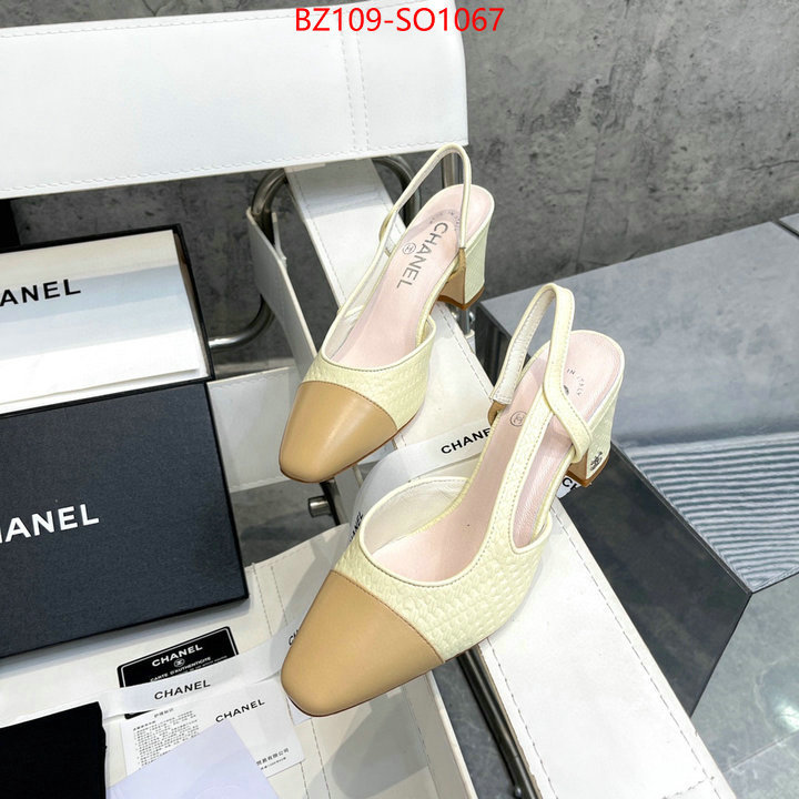 Women Shoes-Chanel,brand designer replica , ID: SO1067,$: 109USD