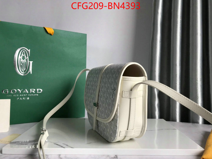 Goyard Bags(TOP)-Diagonal-,ID: BN4393,$: 209USD