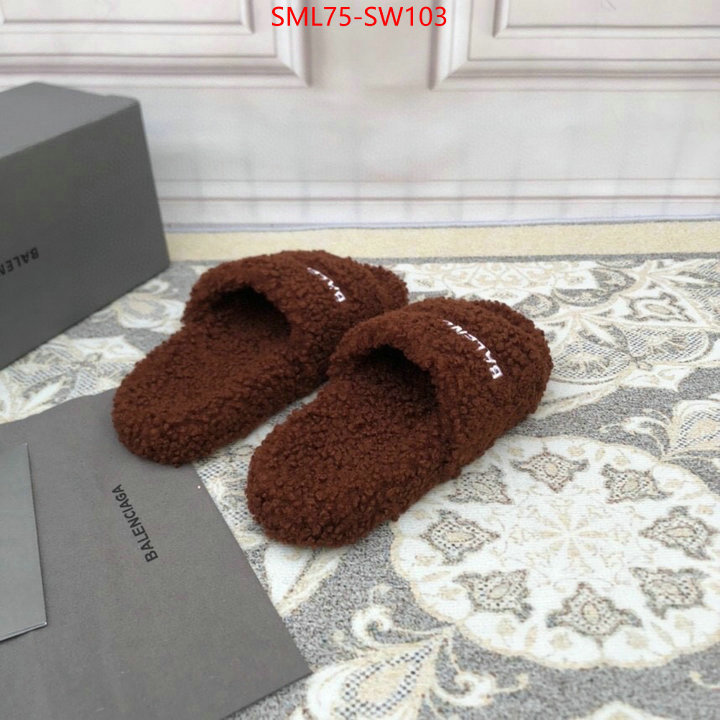 Men Shoes-Balenciaga,where can you buy a replica , ID: SW103,$: 75USD