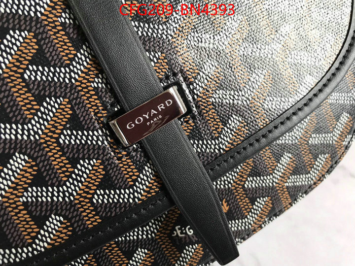 Goyard Bags(TOP)-Diagonal-,ID: BN4393,$: 209USD