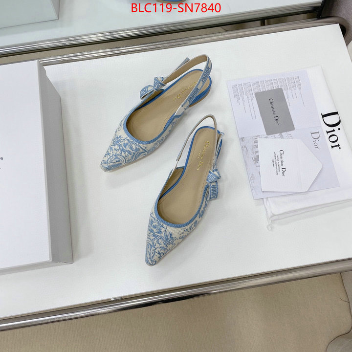 Women Shoes-Dior,replica designer , ID: SN7840,$: 119USD