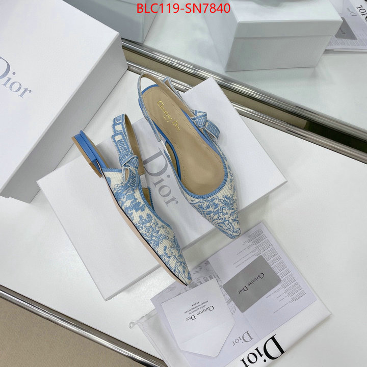 Women Shoes-Dior,replica designer , ID: SN7840,$: 119USD