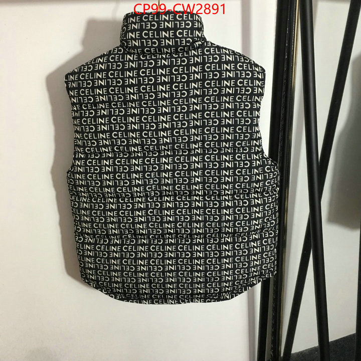 Down jacket Women-Celine,what best designer replicas , ID: CW2891,$: 99USD