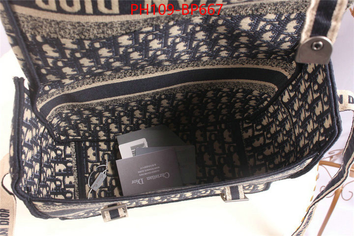 Dior Bags(4A)-Other Style-,ID: BP667,$: 109USD