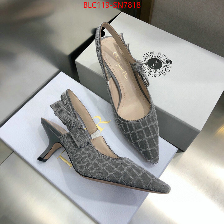 Women Shoes-Dior,aaaaa+ quality replica , ID: SN7818,$: 119USD