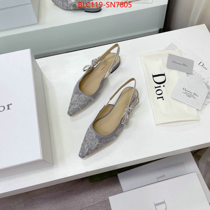 Women Shoes-Dior,the top ultimate knockoff , ID: SN7805,$: 119USD