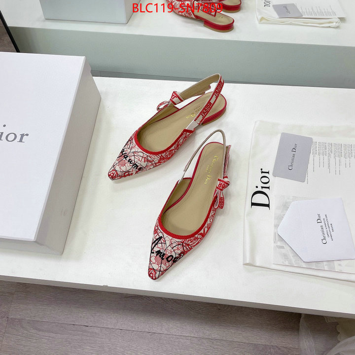 Women Shoes-Dior,designer wholesale replica , ID: SN7809,$: 119USD