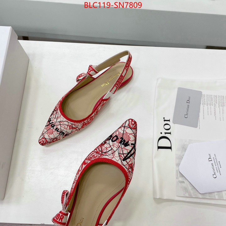 Women Shoes-Dior,designer wholesale replica , ID: SN7809,$: 119USD