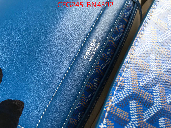 Goyard Bags(TOP)-Handbag-,ID: BN4392,$: 245USD