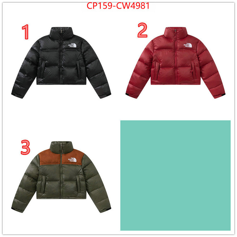 Down jacket Women-The North Face,where can you buy replica , ID: CW4981,$: 159USD