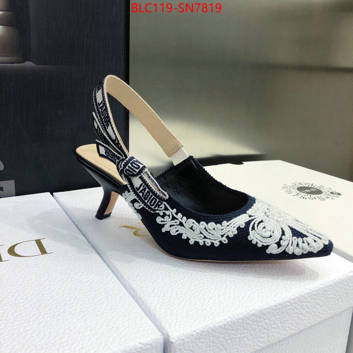 Women Shoes-Dior,replica aaaaa designer , ID: SN7819,$: 119USD