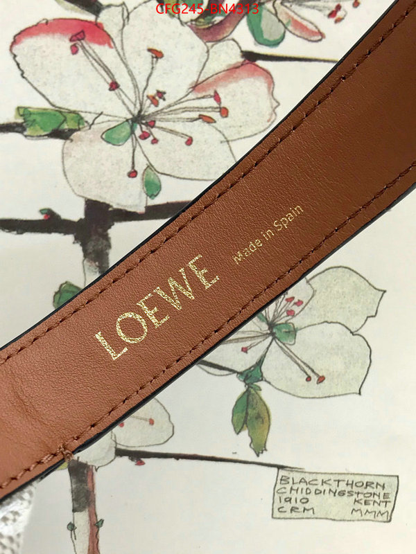 Loewe Bags(TOP)-Cubi,where can i buy ,ID: BN4313,$: 245USD