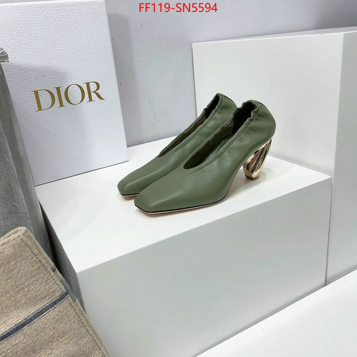 Women Shoes-Dior,cheap , ID: SN5594,$: 119USD
