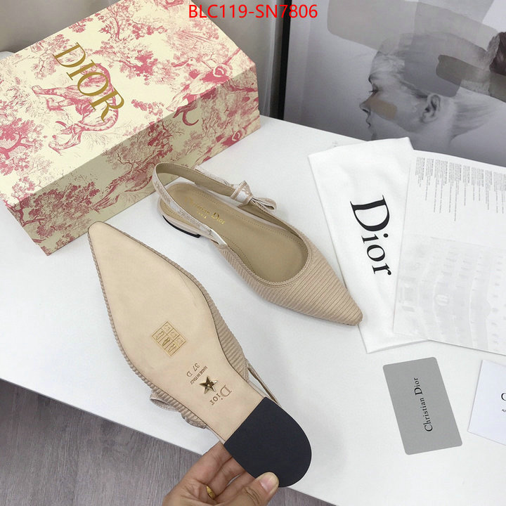 Women Shoes-Dior,how to find replica shop , ID: SN7806,$: 119USD