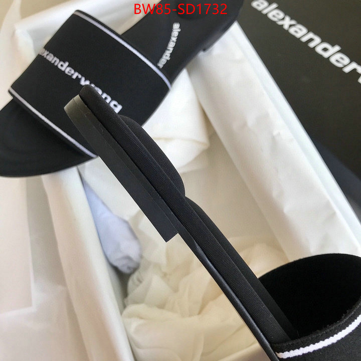 Women Shoes-Alexander Wang,mirror copy luxury , ID: SD1732,$: 85USD