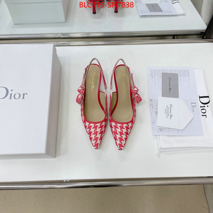 Women Shoes-Dior,can i buy replica , ID: SN7838,$: 119USD