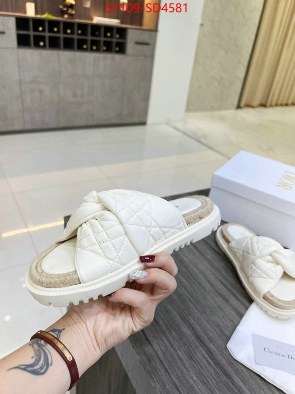 Women Shoes-Dior,perfect quality designer replica , ID: SD4581,$: 109USD