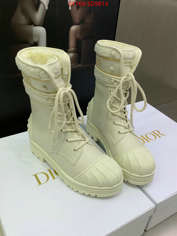 Women Shoes-Dior,is it ok to buy , ID: SD9814,$: 169USD