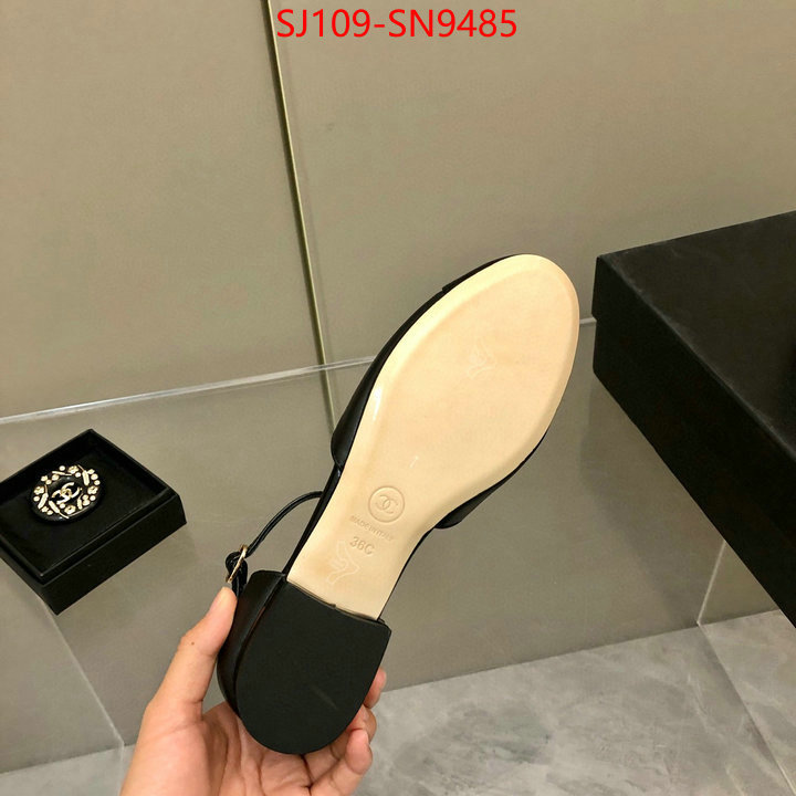 Women Shoes-Chanel,perfect replica , ID: SN9485,$: 109USD