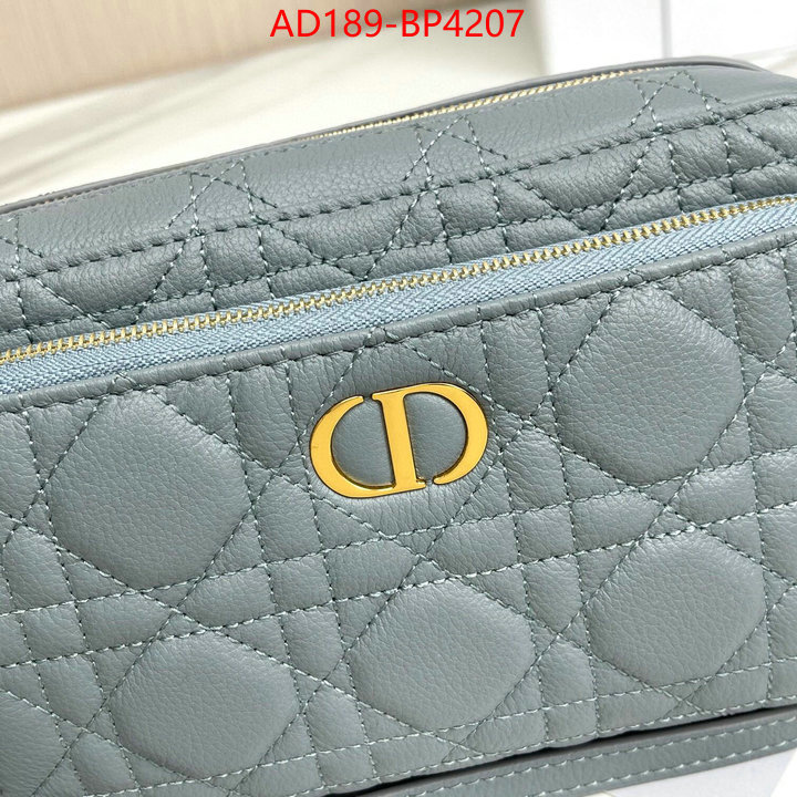 Dior Bags(TOP)-Other Style-,ID: BP4207,$: 189USD