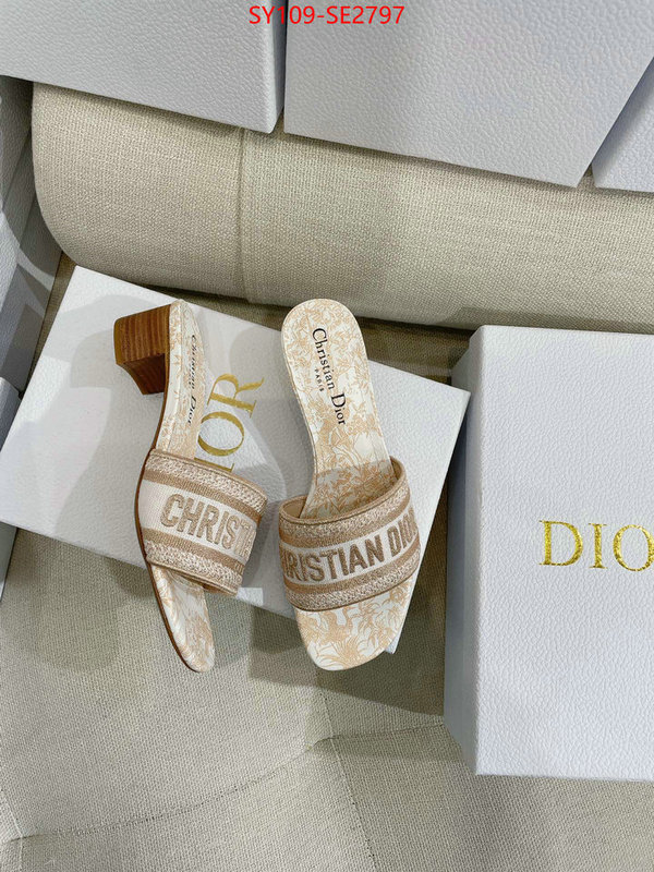 Women Shoes-Dior,shop the best high authentic quality replica , ID: SE2797,$: 109USD