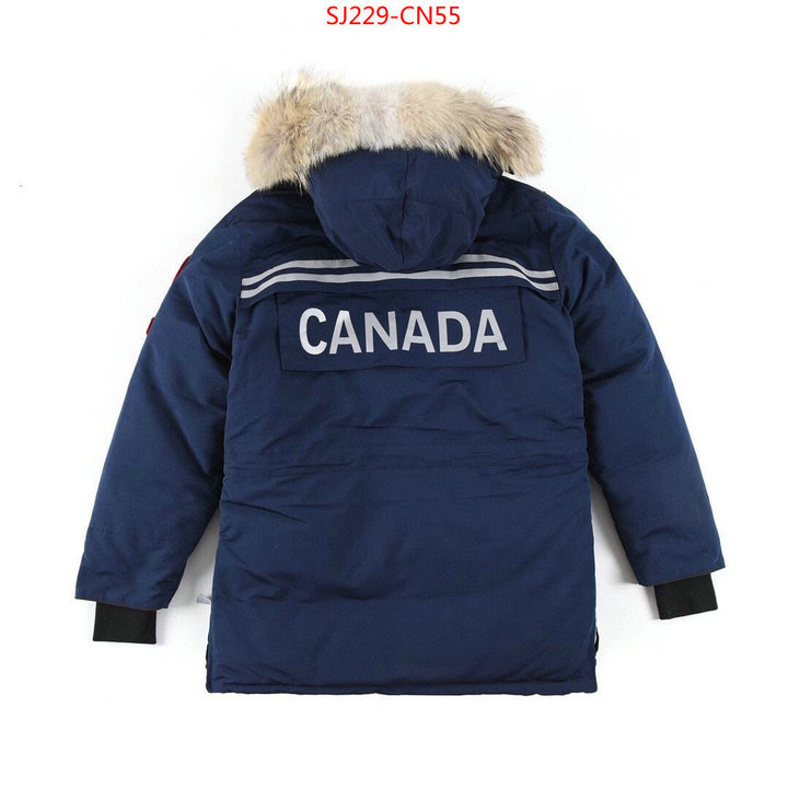 Down jacket Women-Canada Goose,2023 aaaaa replica 1st copy , ID: CN55,$: 229USD