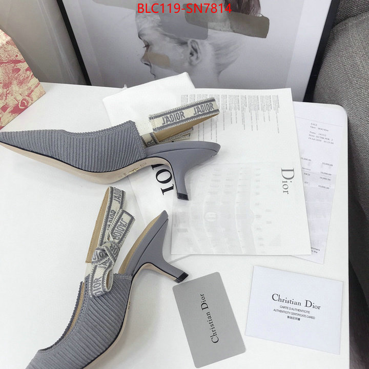 Women Shoes-Dior,how to find replica shop , ID: SN7814,$: 119USD