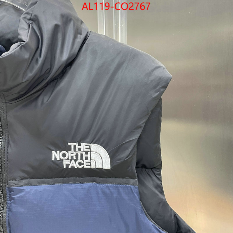 Down jacket Men-The North Face,designer 1:1 replica , ID: CO2767,$: 119USD