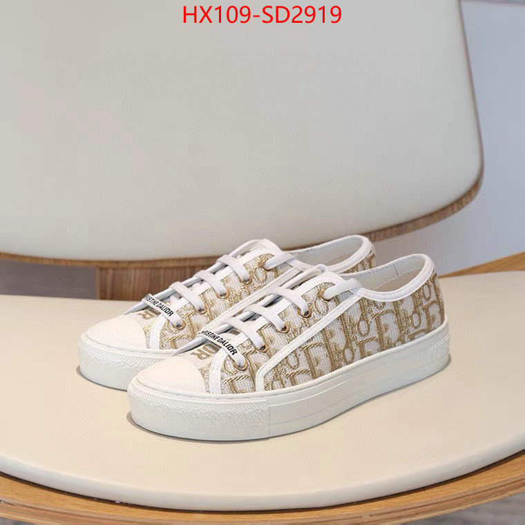 Women Shoes-Dior,2023 replica wholesale cheap sales online , ID: SD2919,$: 109USD