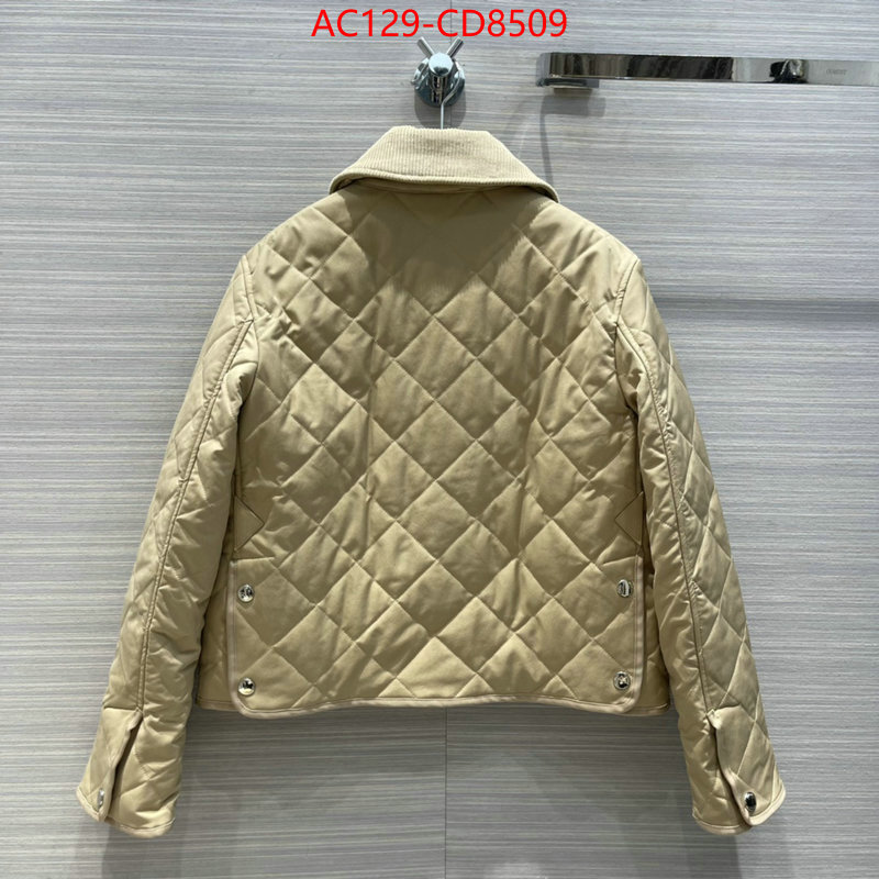 Down jacket Women-Burberry,high-end designer , ID: CD8509,$: 129USD