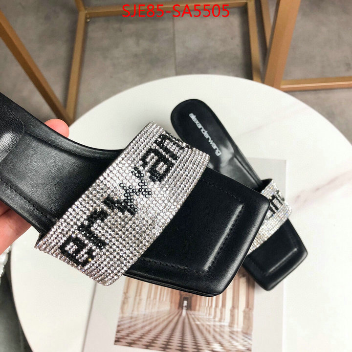 Women Shoes-Alexander Wang,where to find the best replicas , ID: SA5505,$: 85USD