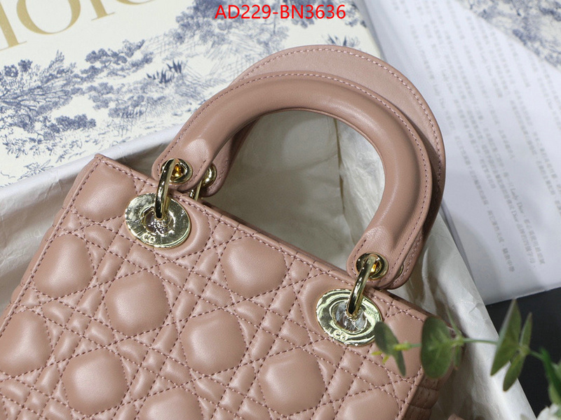 Dior Bags(TOP)-Lady-,ID: BN3636,$: 229USD