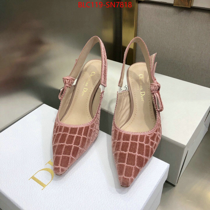 Women Shoes-Dior,aaaaa+ quality replica , ID: SN7818,$: 119USD